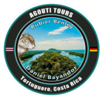 Agouti Tours Tortuguero Costa Rica